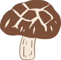 doodle croquis à main levée dessin de légume champignon shitake. png