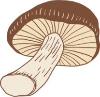 doodle desenho à mão livre de vegetais cogumelo shitake png