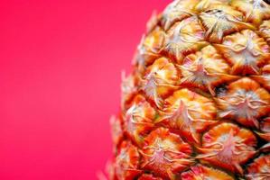 ananas on red background photo