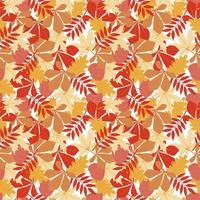 A seamless pattern of autumn leaves, hand-drawn doodle-style elements. Bright maple, oak, and aspen leaves. A carpet of autumn leaves. Thanksgiving. Back to school for the kids. Halloween. Autumn vector