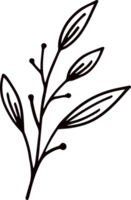 Ink paint stroke flower plant png