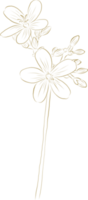 diseño de ilustración de flor de lujo dorado png