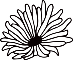 planta de flor de traçado de tinta de tinta png