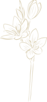 diseño de ilustración de flor de lujo dorado png