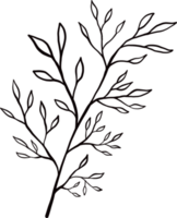 tintenstrich blumenpflanze png