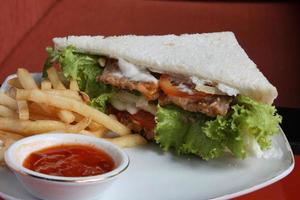 sándwiches triangulares. con relleno de carne de hamburguesa, mayonesa. viene con papas fritas. de cerca foto