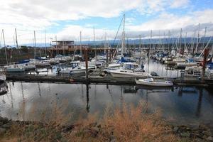 A boat dock with a reflection on the water. photo