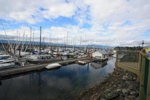 A side view of a very busy ship marina. photo