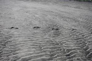 An abstract pattern of waves on sand. photo