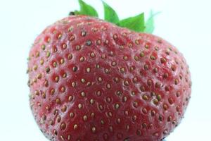 A close up shot of ripe strawberry. photo