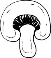 mushroom champignon half sketch hand drawn doodle. icon, card, poster, , monochrome nature food ingredient vector