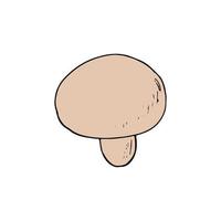 mushroom champignon sketch hand drawn doodle. icon, card, poster, , monochrome nature food ingredient vector