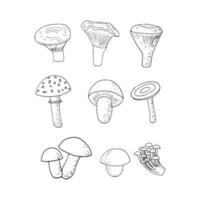 forest mushrooms set sketch hand drawn doodle. icon, card, poster, , monochrome. boletus, fly agaric, chanterelles, russula champignon honey agarics nature food ingredient vector