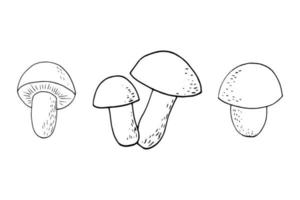 forest mushrooms set sketch hand drawn doodle. icon, card, poster, , monochrome. boletus nature food ingredient vector