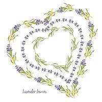 establezca la plantilla de hermosos marcos florales de lavanda violeta en estilo acuarela plana aislado en fondo blanco para diseño decorativo, tarjeta de boda, invitación, capa de viaje. ilustración botánica vector