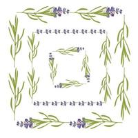 establezca la plantilla de hermosos marcos florales de lavanda violeta en estilo acuarela plana aislado en fondo blanco para diseño decorativo, tarjeta de boda, invitación, capa de viaje. ilustración botánica vector