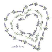 establezca la plantilla de hermosos marcos florales de lavanda violeta en estilo de acuarela vectorial aislado en fondo blanco para diseño decorativo, tarjeta de boda, invitación, capa de viaje. ilustración botánica vector