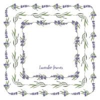 Set violet Lavender beautiful floral frames template in vector watercolor style isolated on white background for decorative design, wedding card, invitation, travel flayer. Botanical illustration