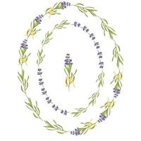 establezca la plantilla de hermosos marcos florales de lavanda violeta en estilo acuarela plana aislado en fondo blanco para diseño decorativo, tarjeta de boda, invitación, capa de viaje. ilustración botánica vector