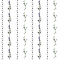 Seamless pattern with violet Lavender beautiful flower template in vector watercolor style isolated on white background for wedding card, invitation, travel flayer. Botanical illustration.