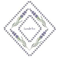 Set violet Lavender beautiful floral frames template in vector watercolor style isolated on white background for decorative design, wedding card, invitation, travel flayer. Botanical illustration