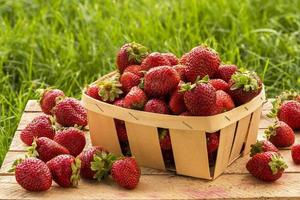 Strawberry in a basket photo