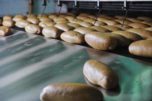 bread factory production photo