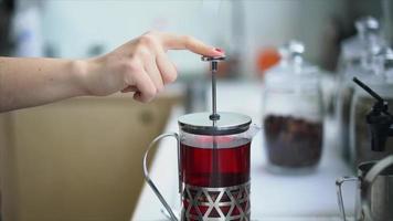 prensa francesa empujada hacia abajo después de que el té se empape en agua caliente video