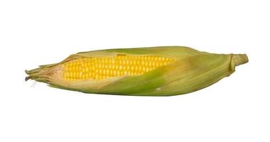 Corn isolate on white background photo