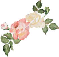 aquarelle épanouissement branche de rose bouquet de fleurs