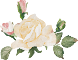 Aquarell blühender Rosenzweig Blumenstrauß png