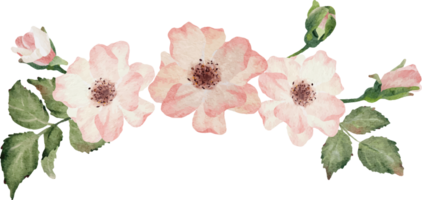 acquerello fioritura rosa ramo fiore mazzo png