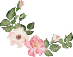 buquê de flores aquarela florescendo ramo de rosa png