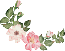 watercolor blooming rose branch flower bouquet png