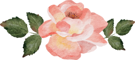 watercolor blooming rose branch flower bouquet png