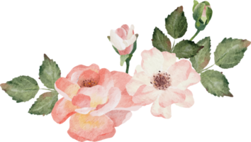 Aquarell blühender Rosenzweig Blumenstrauß png