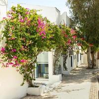 calle angosta tradicional, casas blancas con flores y detalles arquitectónicos en grecia, europa