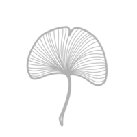 Strichzeichnungen Blumen und Blätter png