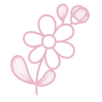 Line Art Floral and leaf png