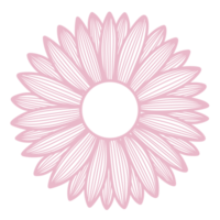 dessin au trait floral et feuille png