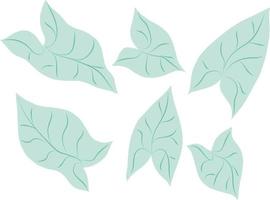 Tropical plant leaf set vector