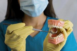 la mujer dentista tiene dentaduras postizas en sus manos e instrumentos foto