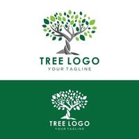 Abstract vibrant tree logo design, root vector - Tree of life logo design inspiration isolated on white background.