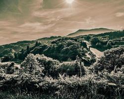 Clouds over a Beautiful Landscape Green Vegetation photo