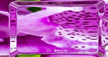 Digital Render Digitalis Purpurea Foxglove Glass photo