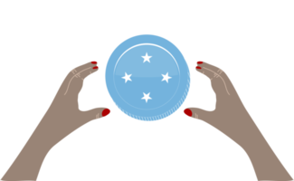 Micronesia Flag hand drawn,Dollar hand drawn png