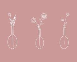 White Line Art Three Flower with Pink Background Illustrations vector