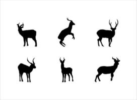 Collection of Deer Silhoutte White Background vector