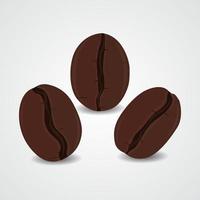 Coffee beans illustration on isolated background vector