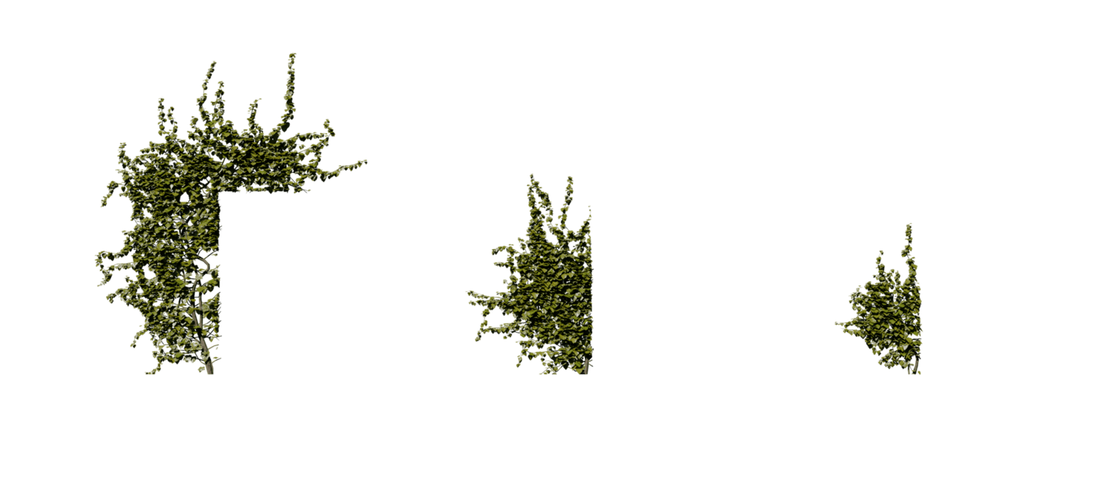 Moss PNG Free Images with Transparent Background - (315 Free Downloads)